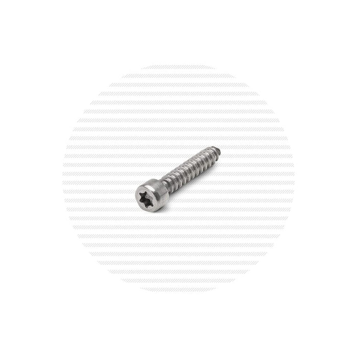 4-24 x 5/8" Stainless Steel Star Drive Socket Head Cap Screw Hardware Cable Bullet