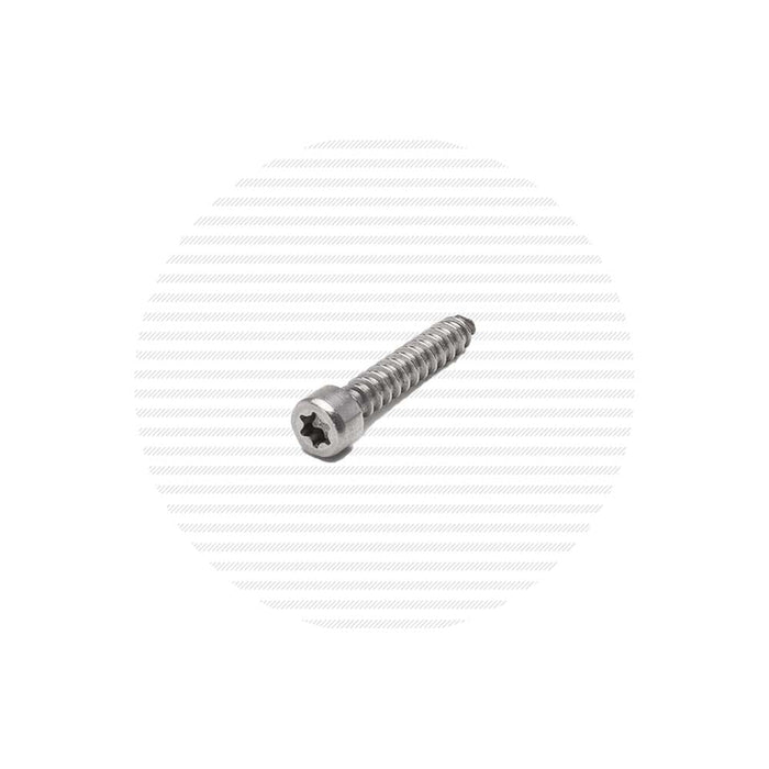 4-24 x 5/8" Stainless Steel Star Drive Socket Head Cap Screw Packs Hardware Set Screw & Mfg. Co.