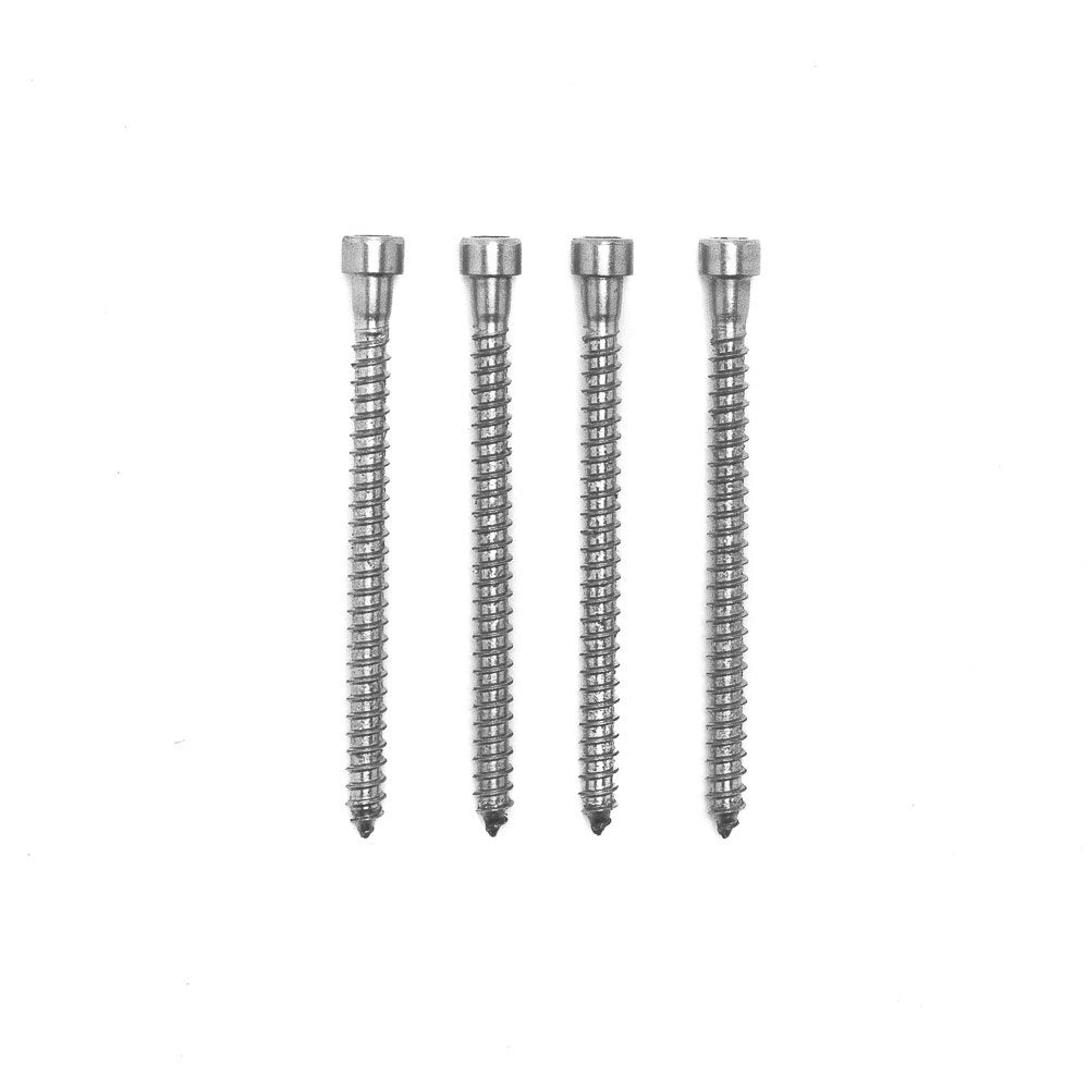Stainless Steel Star Drive Socket Head Post Mounting Screw 4Pack