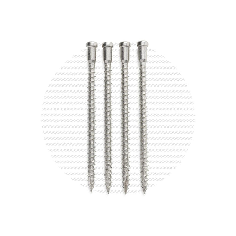 Post Mounting Screw Packs | 4-Pack Hardware Cable Bullet Stainless 