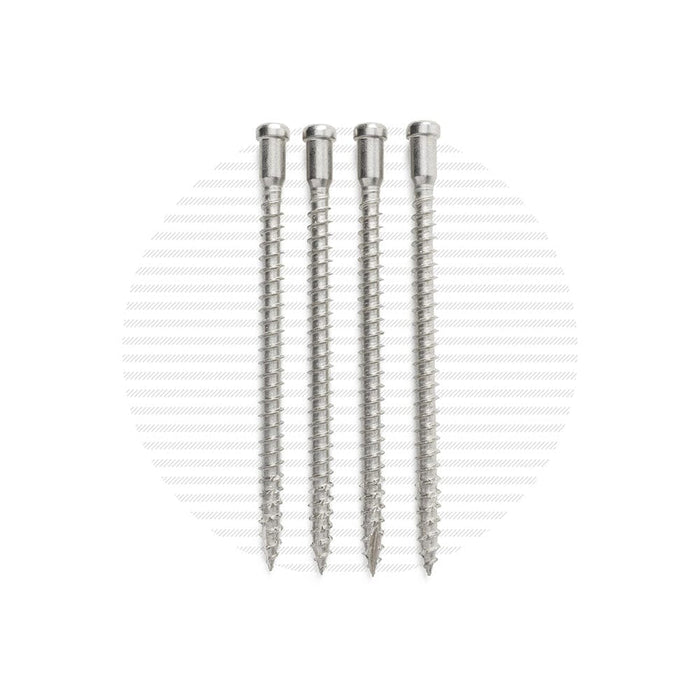 Post Mounting Screw Packs | 4-Pack Hardware Cable Bullet Stainless 